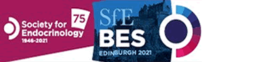 SFEBES2021